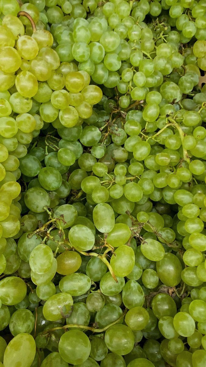 عنب كشمشي ناعم