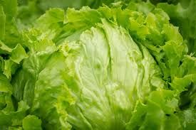 Ice berg lettuce 