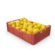 Limon Mayorista (Desde 10 kilos)