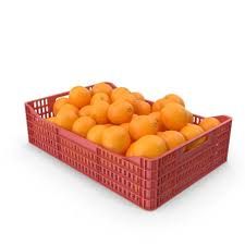 Naranja Mayorista (Desde 10 kilos)