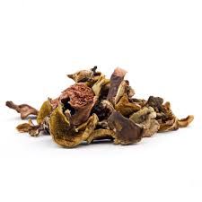Callampas Deshidratadas 100 gr