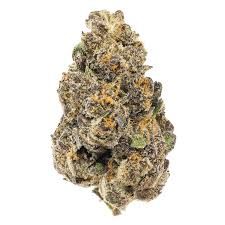 Sherb cream  pie strain 