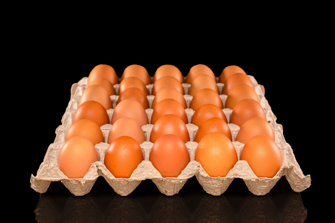 30 Ovos Organicos