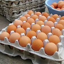 Eggs full tray