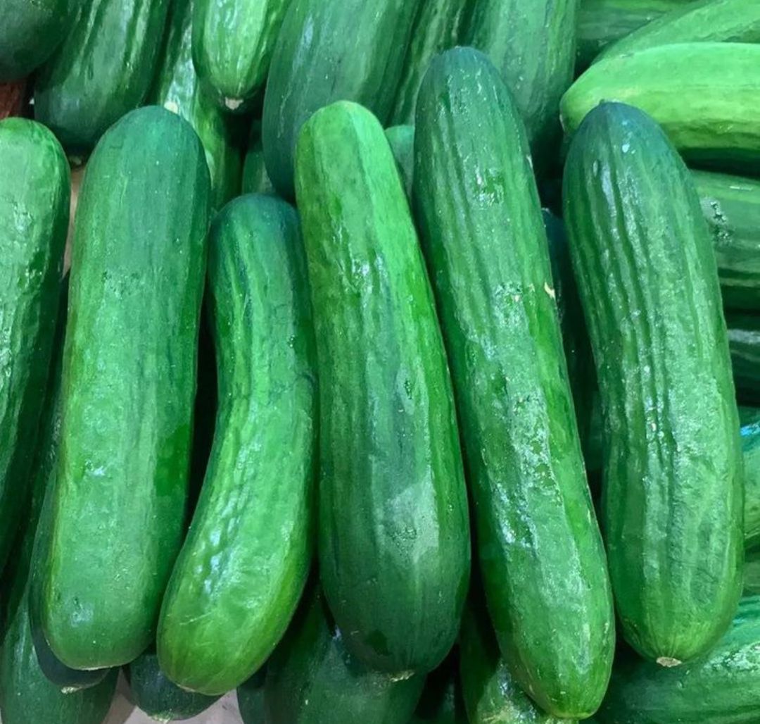 Pepino sin semillas (persa)