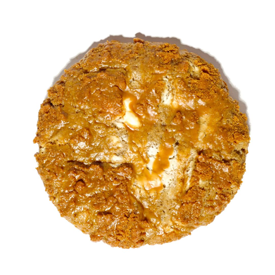 UR BISCOFF-IN