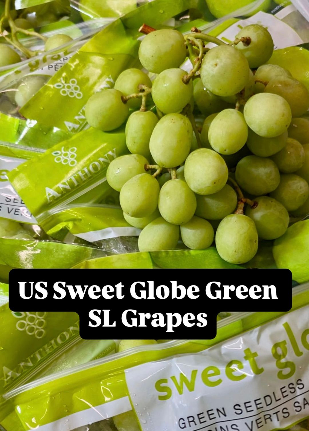 US SWEET GLOBE GREEN SL GRAPES
