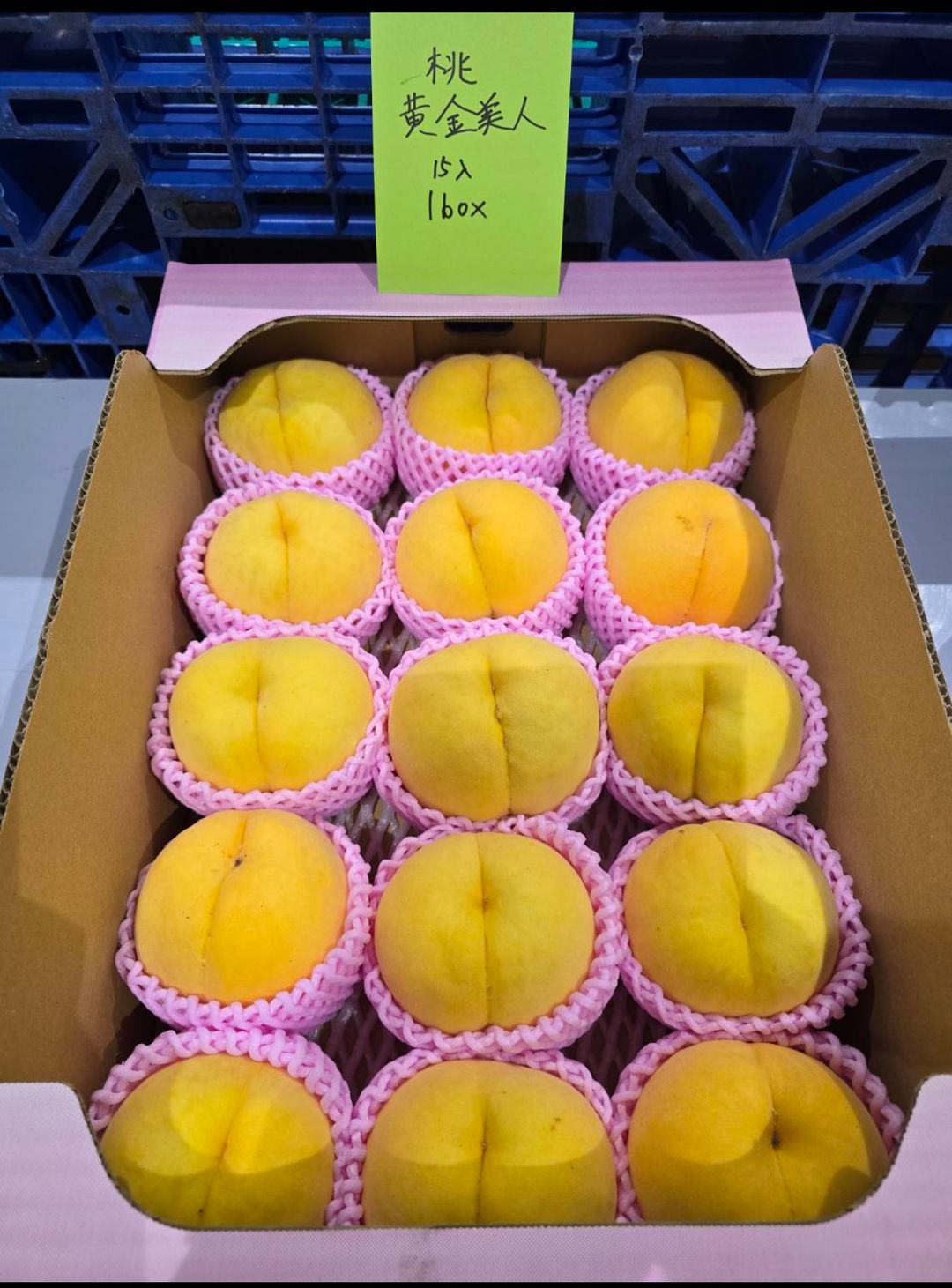 Golden Peach | Yamanashi Prefecture 山梨県