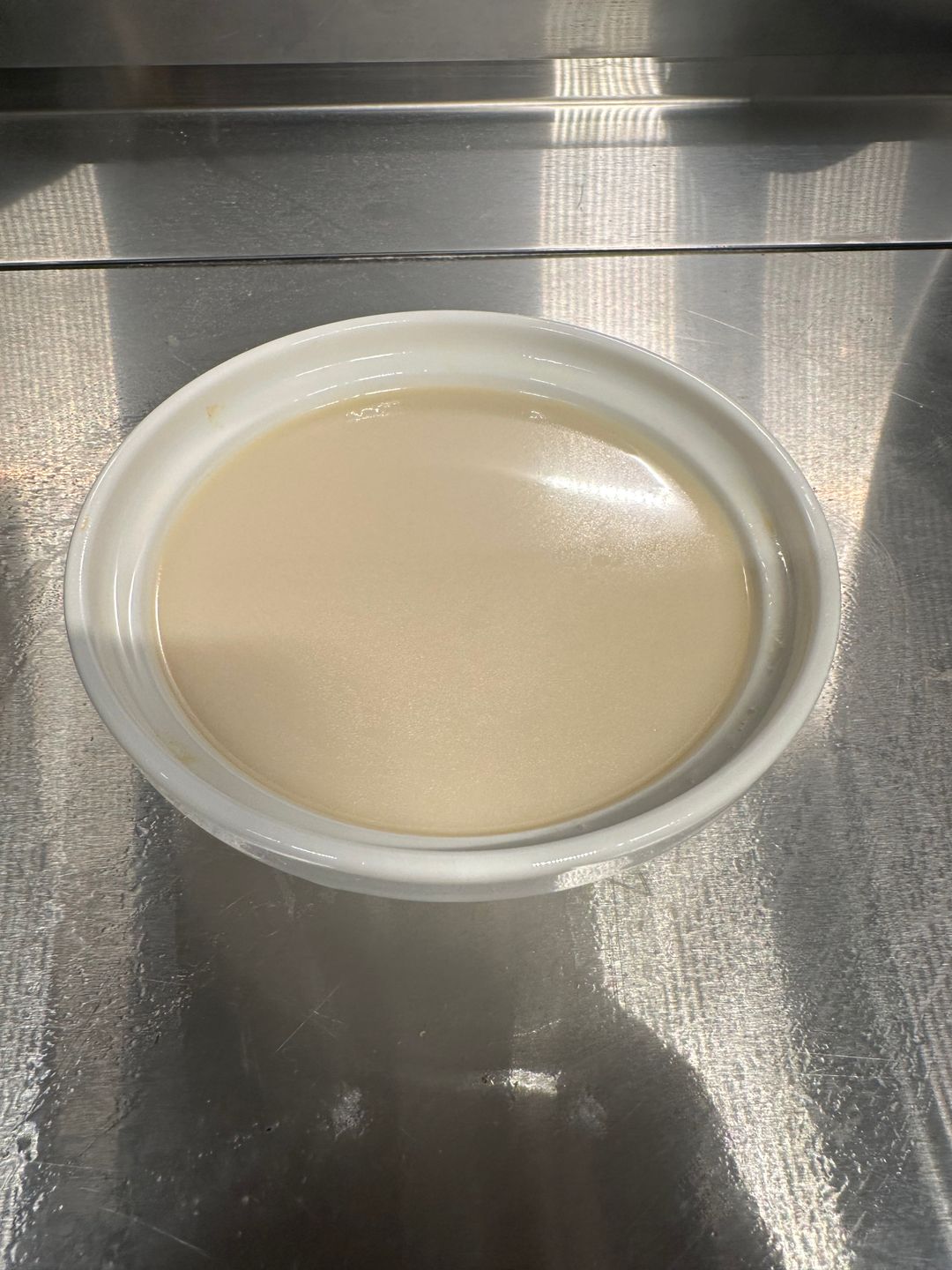 Deep Sea Fish Soup Stock