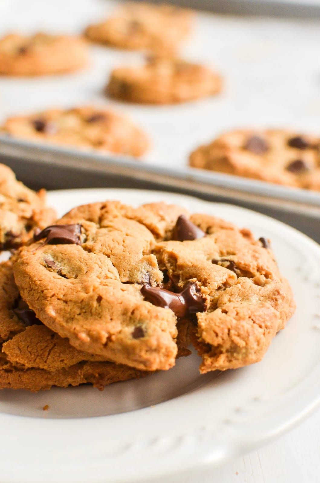 PROTEIN COOKIE
