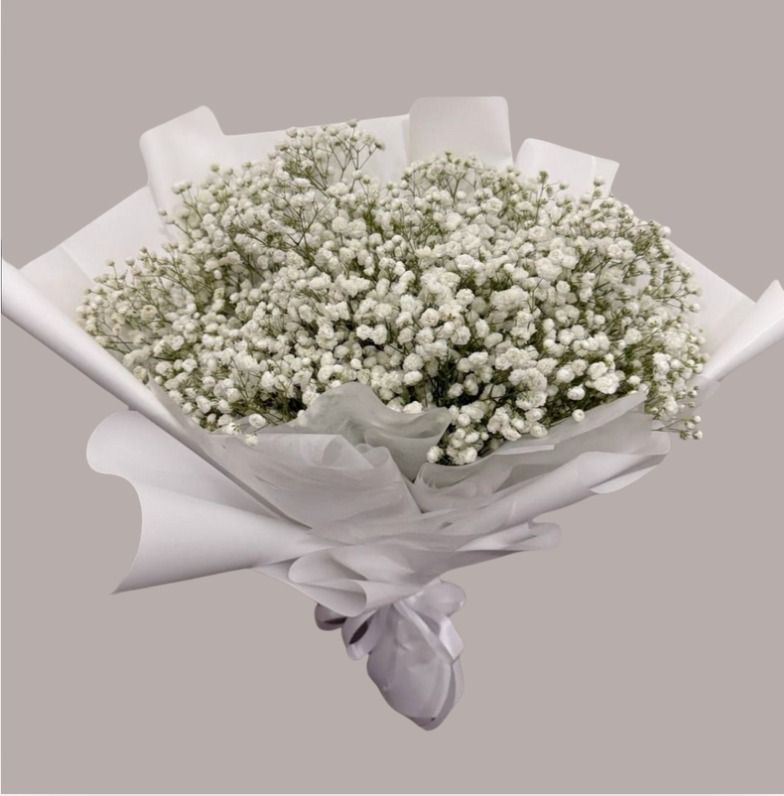 XL Baby Breath