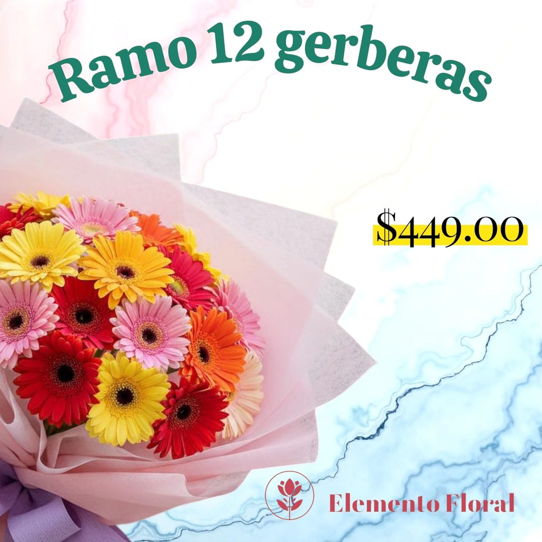 RAMO DE 12 GERBERAS