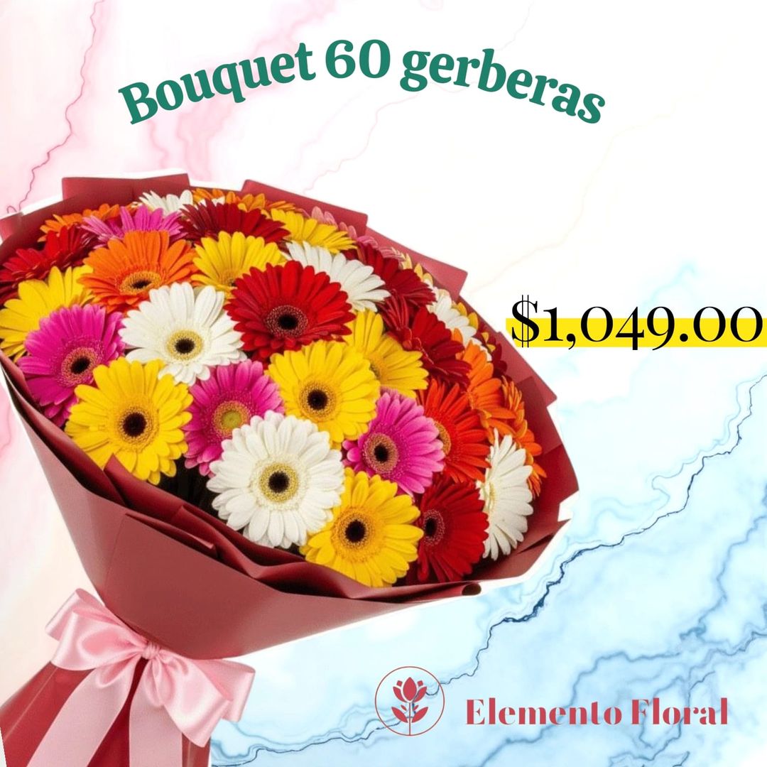 BOUQUETE 60 GERBERAS 