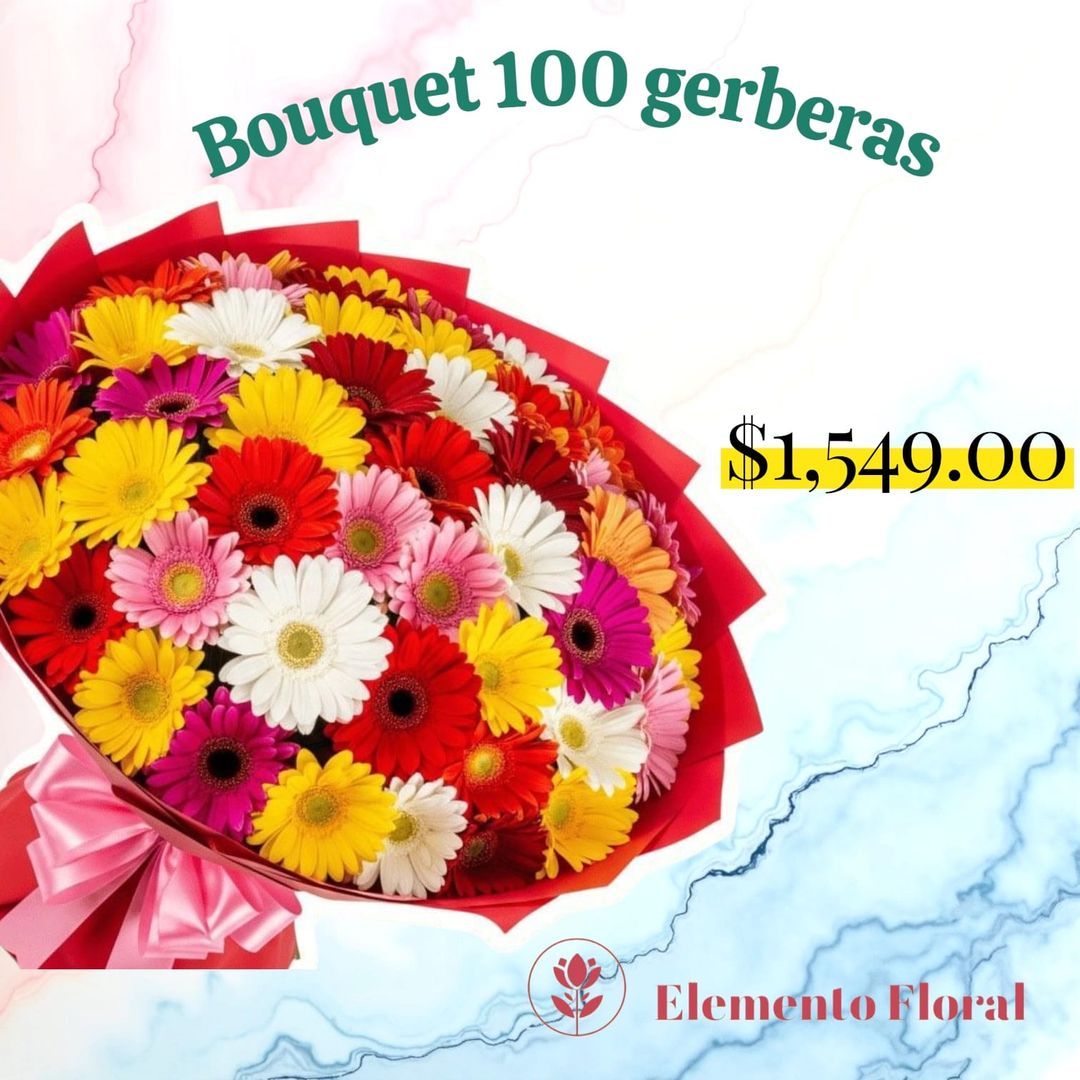BOUQUETE 100 GERBERAS 