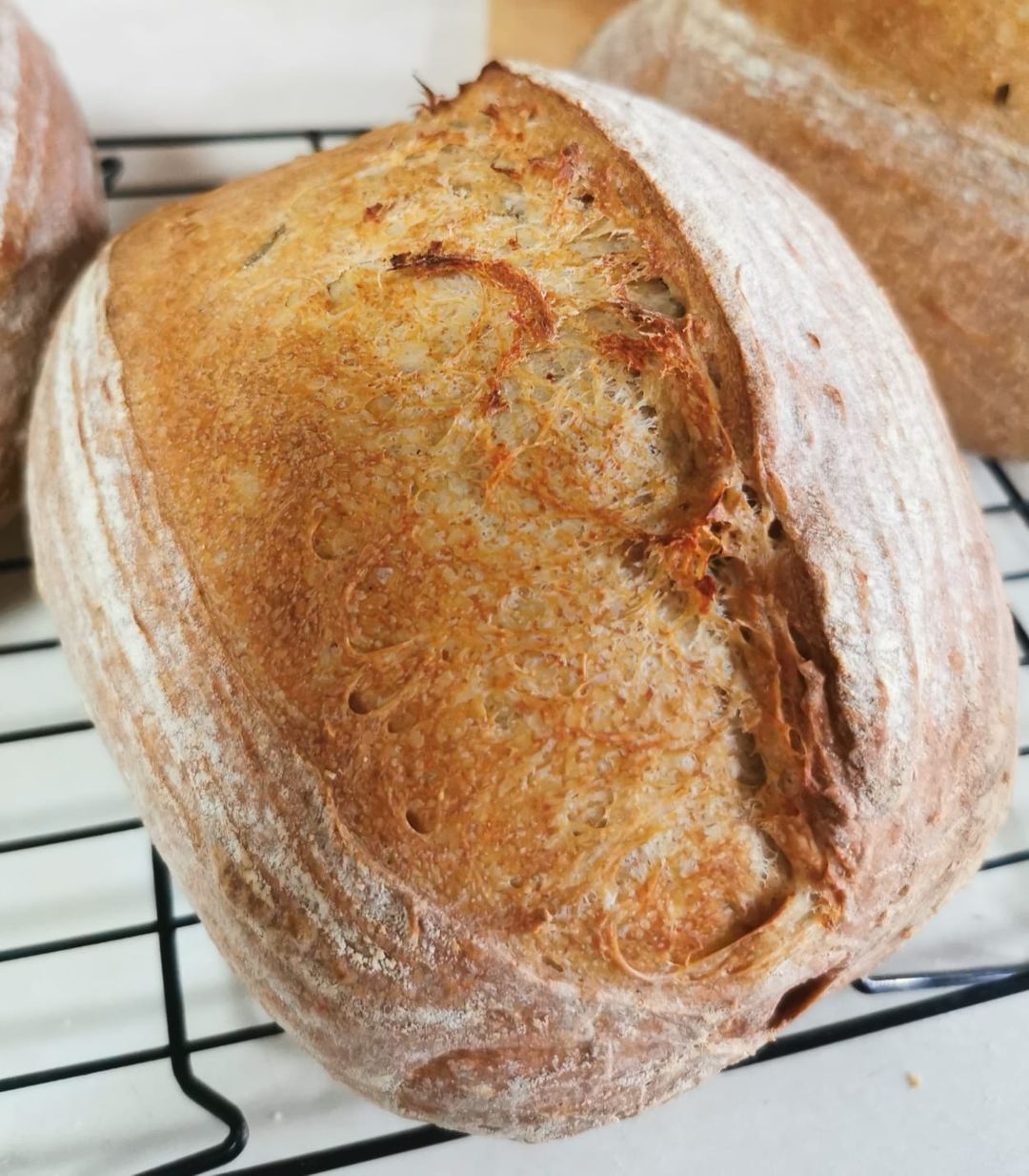 Sourdough Loaf