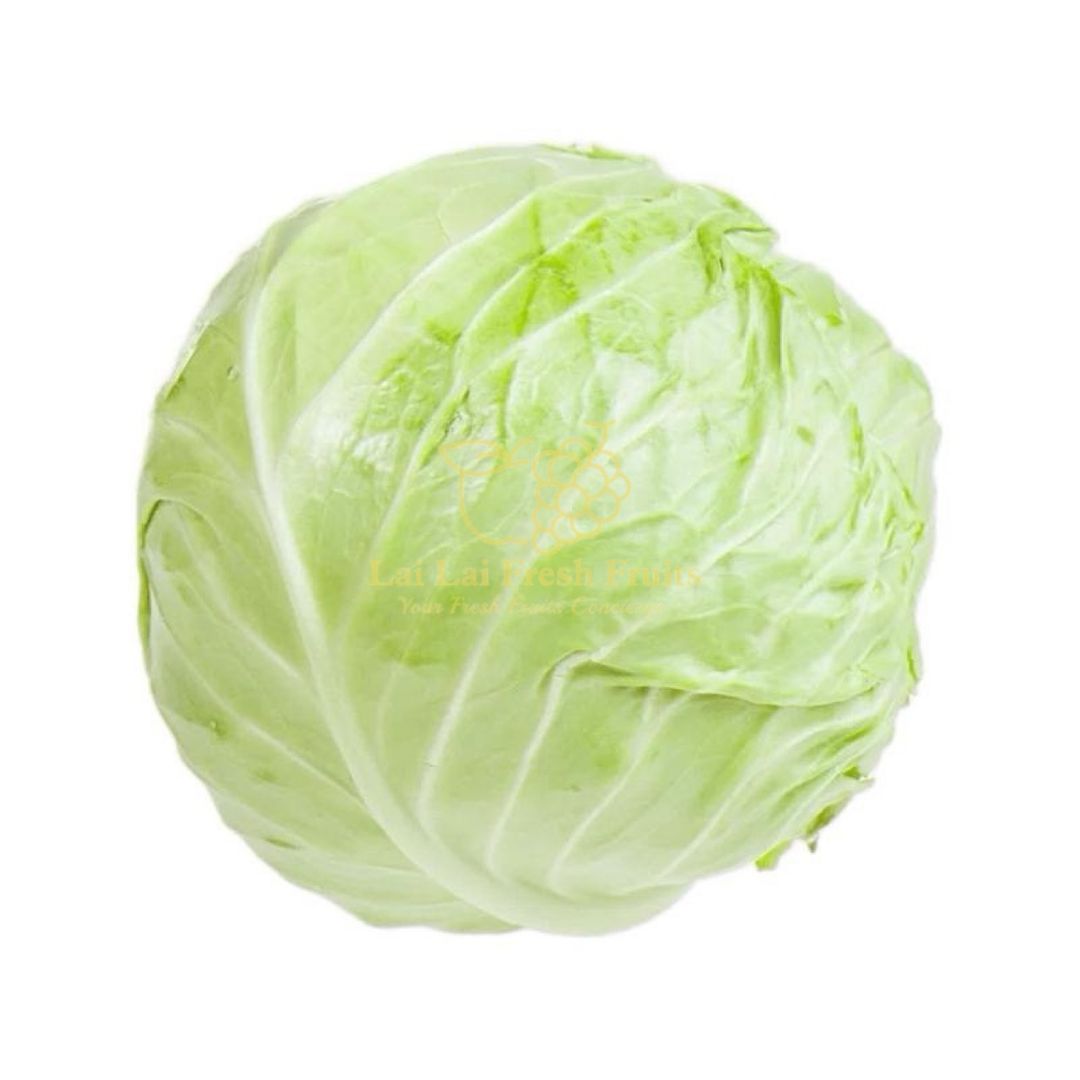 Japan Nagano Cabbage