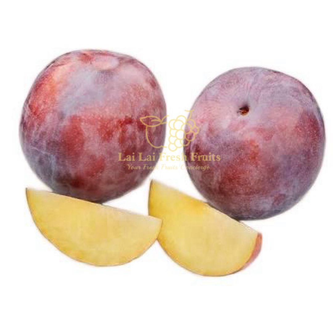 USA Family Tree Flavour Fall Plum