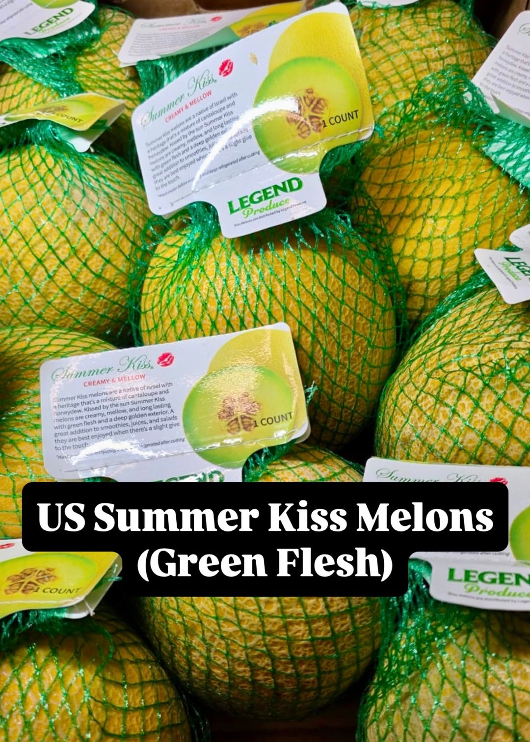 US SUMMER KISS MELON (S)