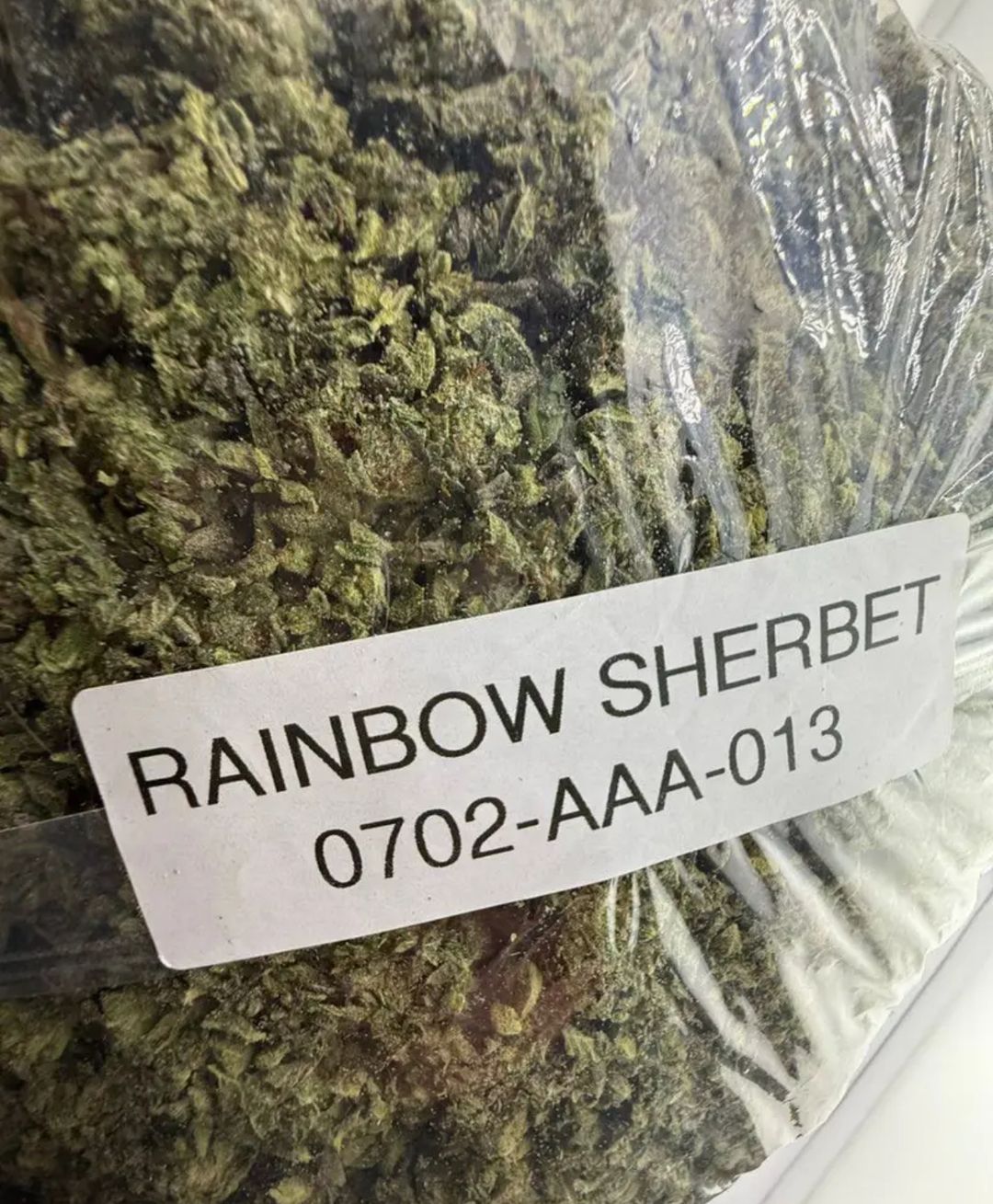 Rainbow sherbet strain