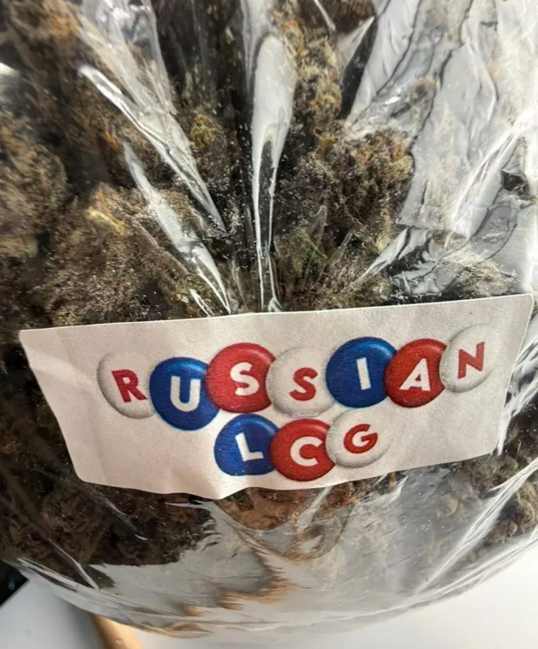 Russian Lcg strain