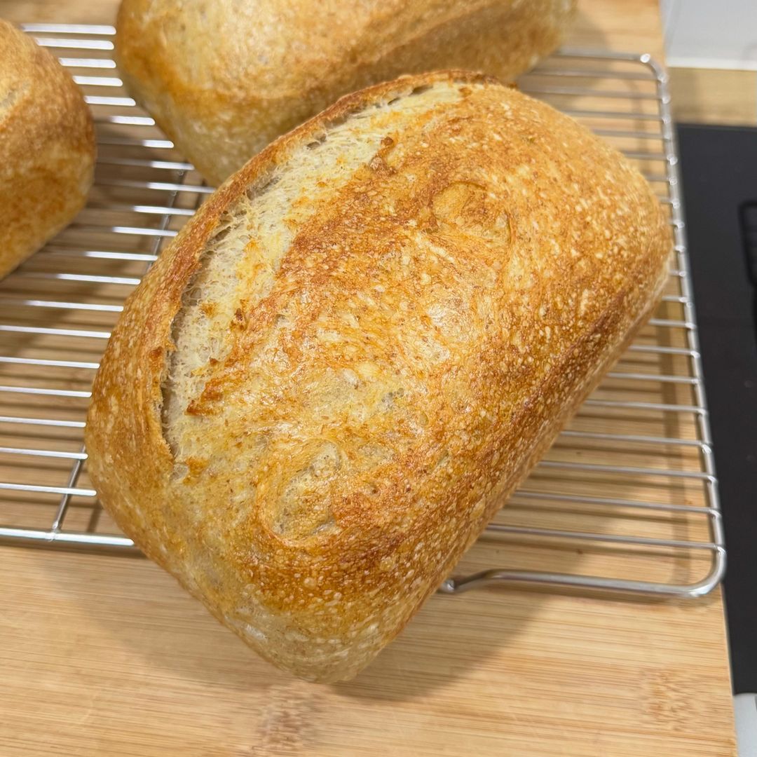 Country Sourdough