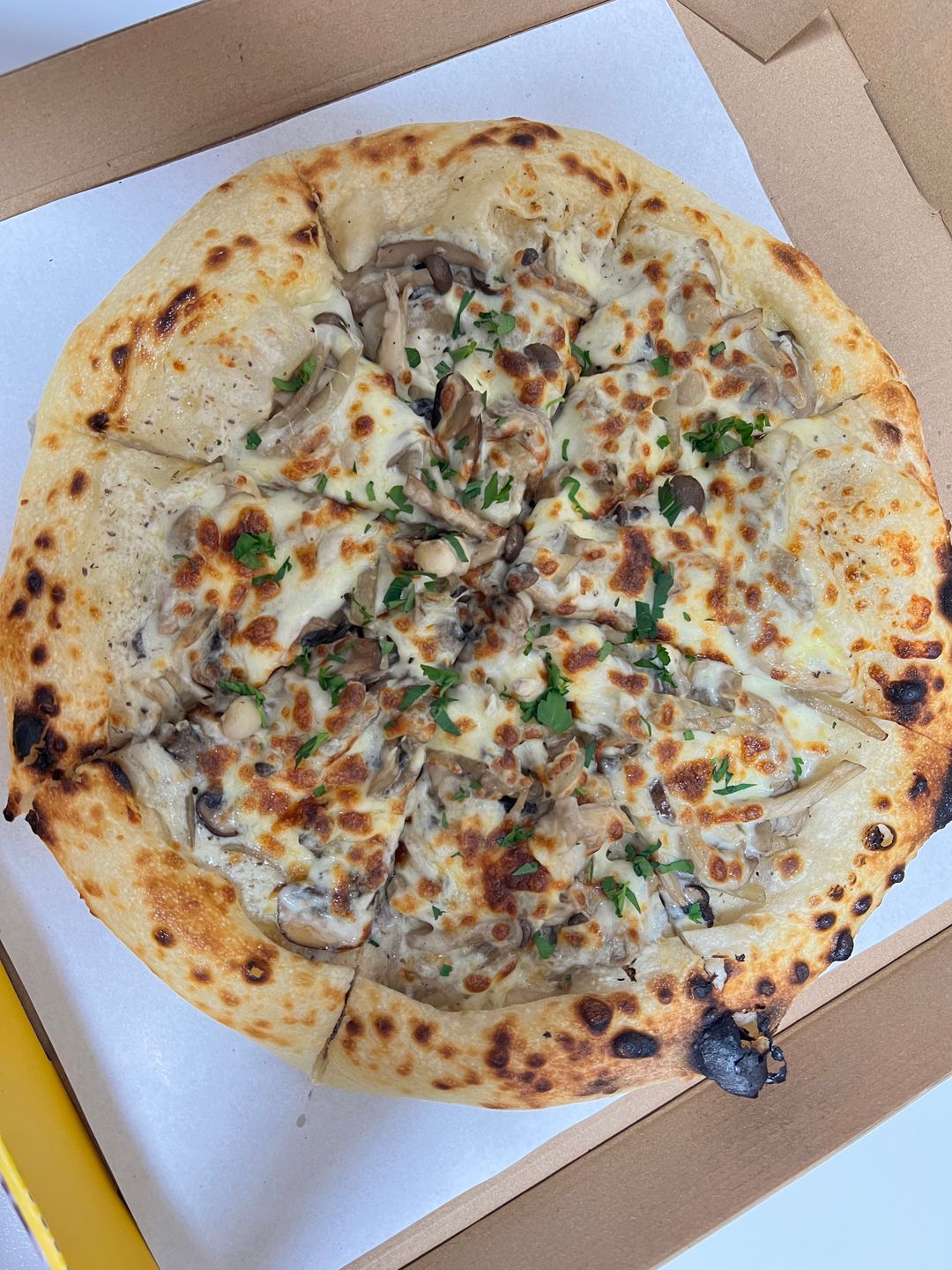 MUSHROOM LOVER  