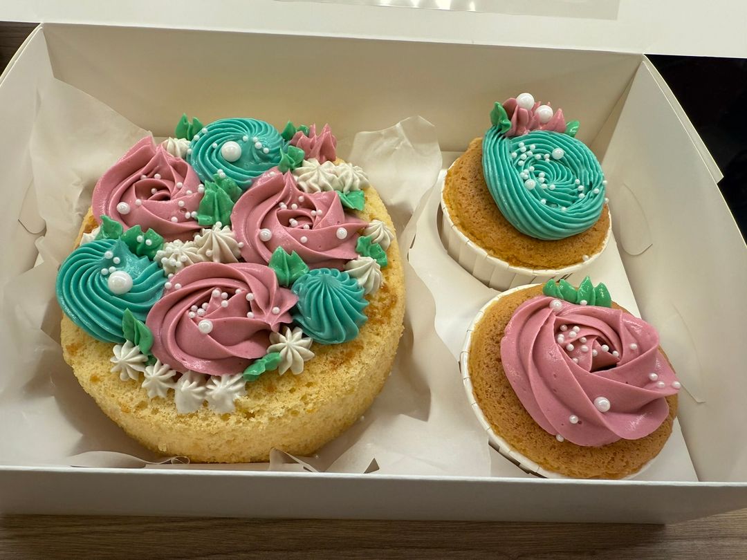 Dual Bento - Cake + Cupcakes