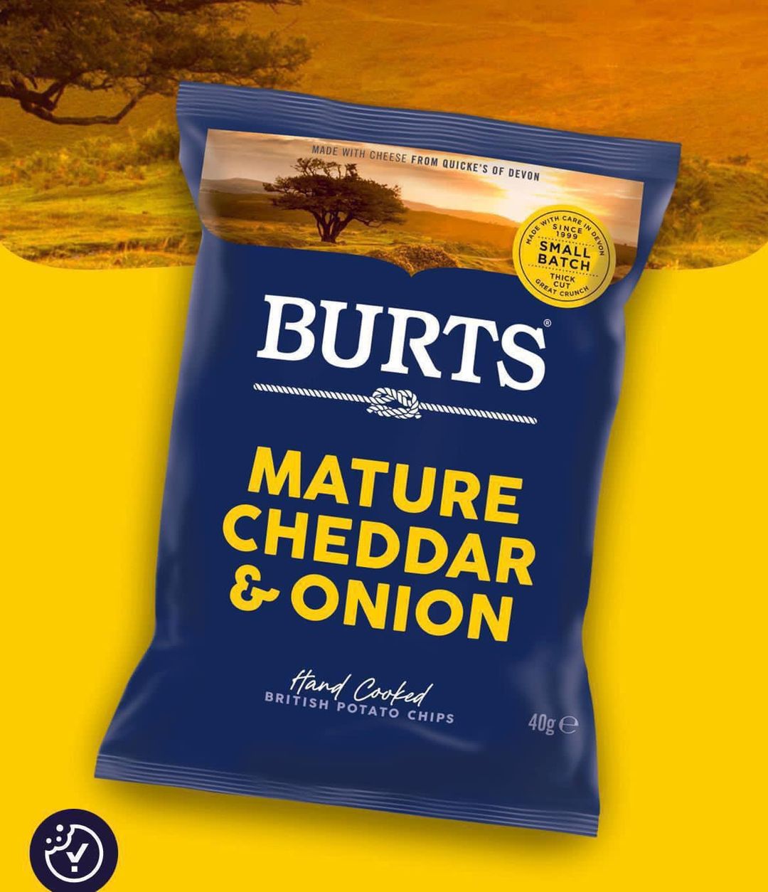 2 cases Burts mature cheddar & onion 20x40g  BBE 29/10/25 