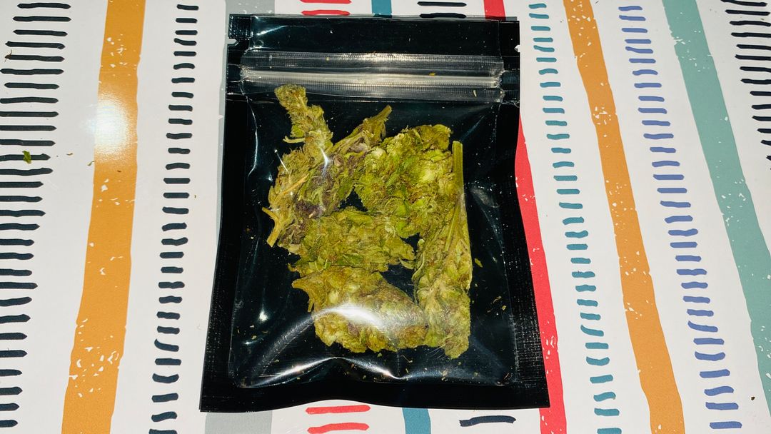 California Oranage (Outdoor; Sativa) 
