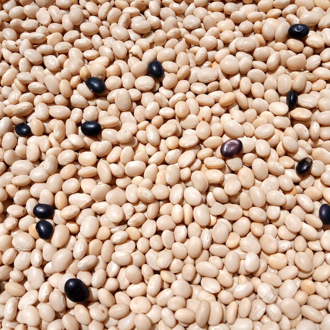  Cassoulet