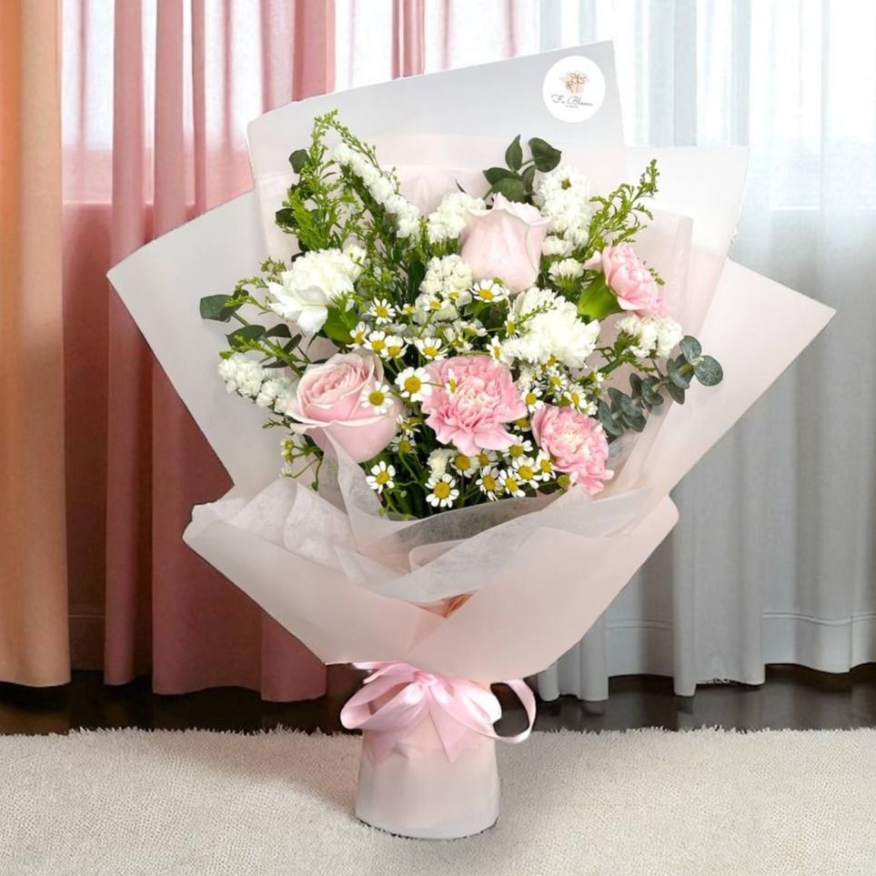 Roses Carnation (Izzie)