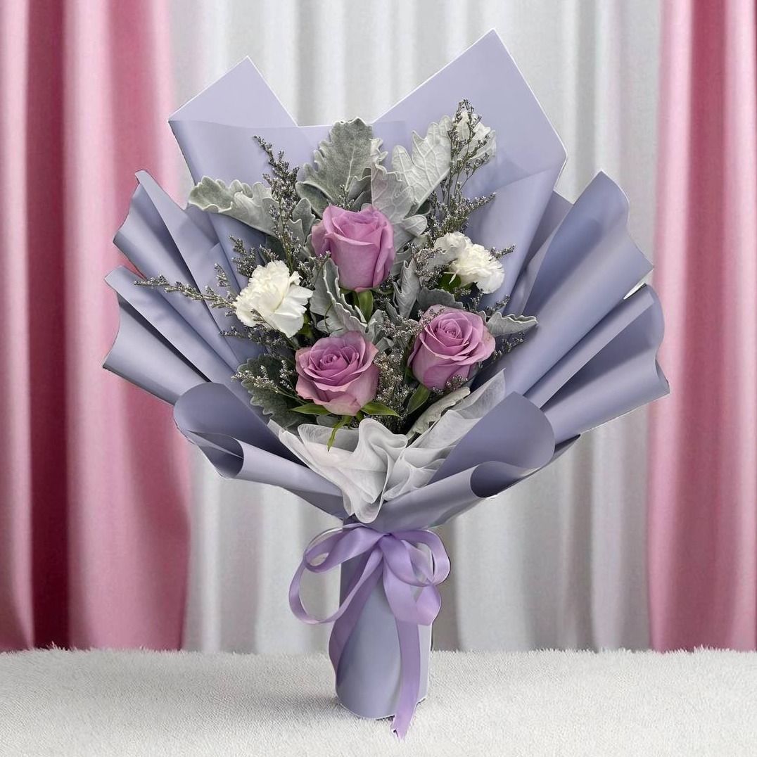 Roses Carnation (Amelia)