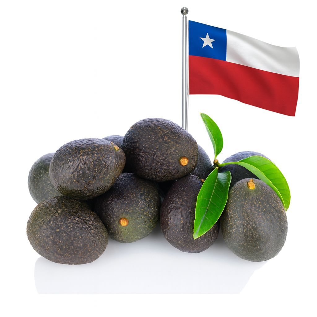 Palta Hass 2da Chile x kilo