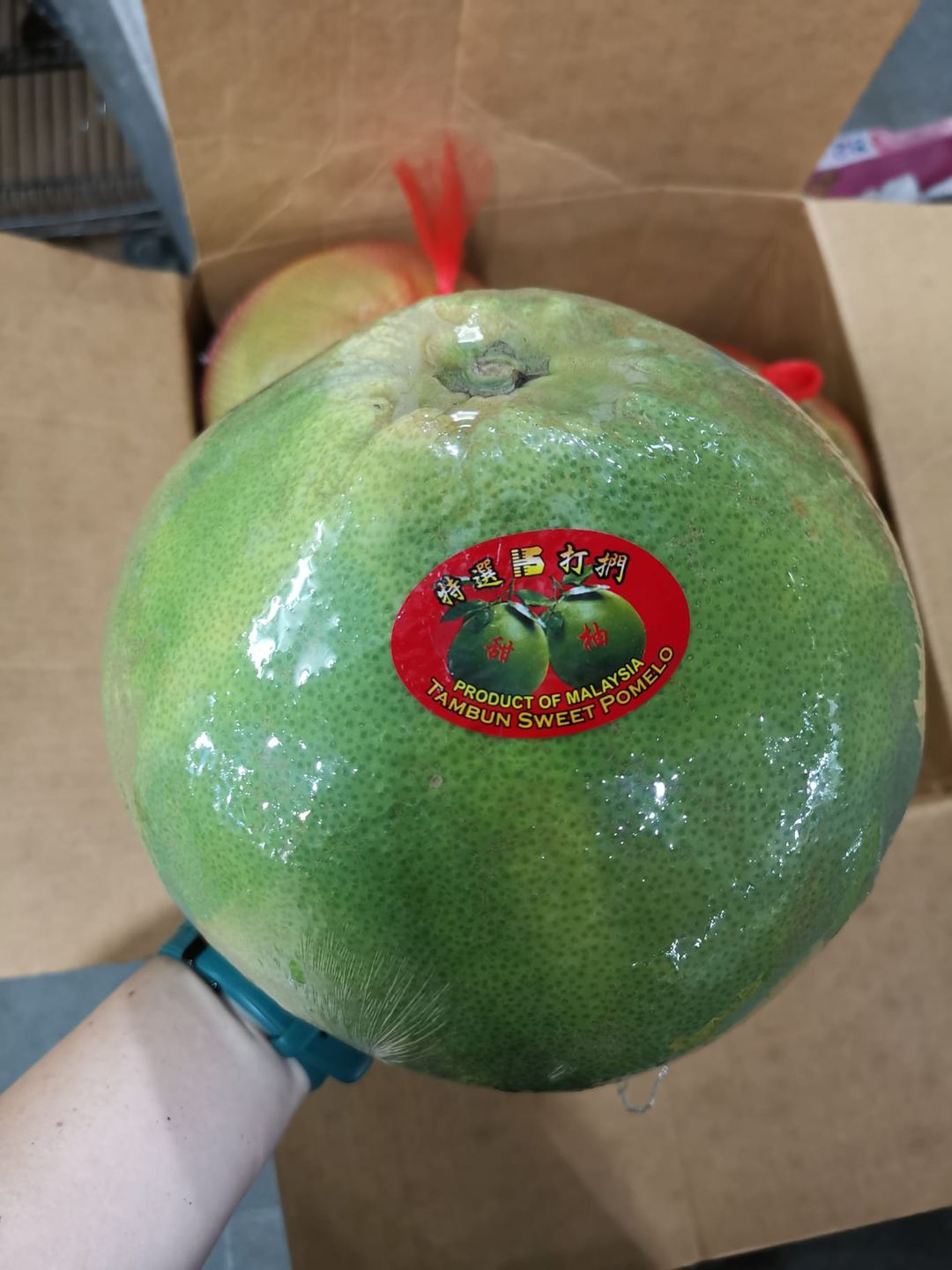 Malaysia Pomelo