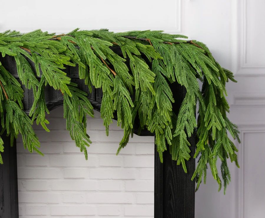 6' Norfolk Island Pine Hanging Garland