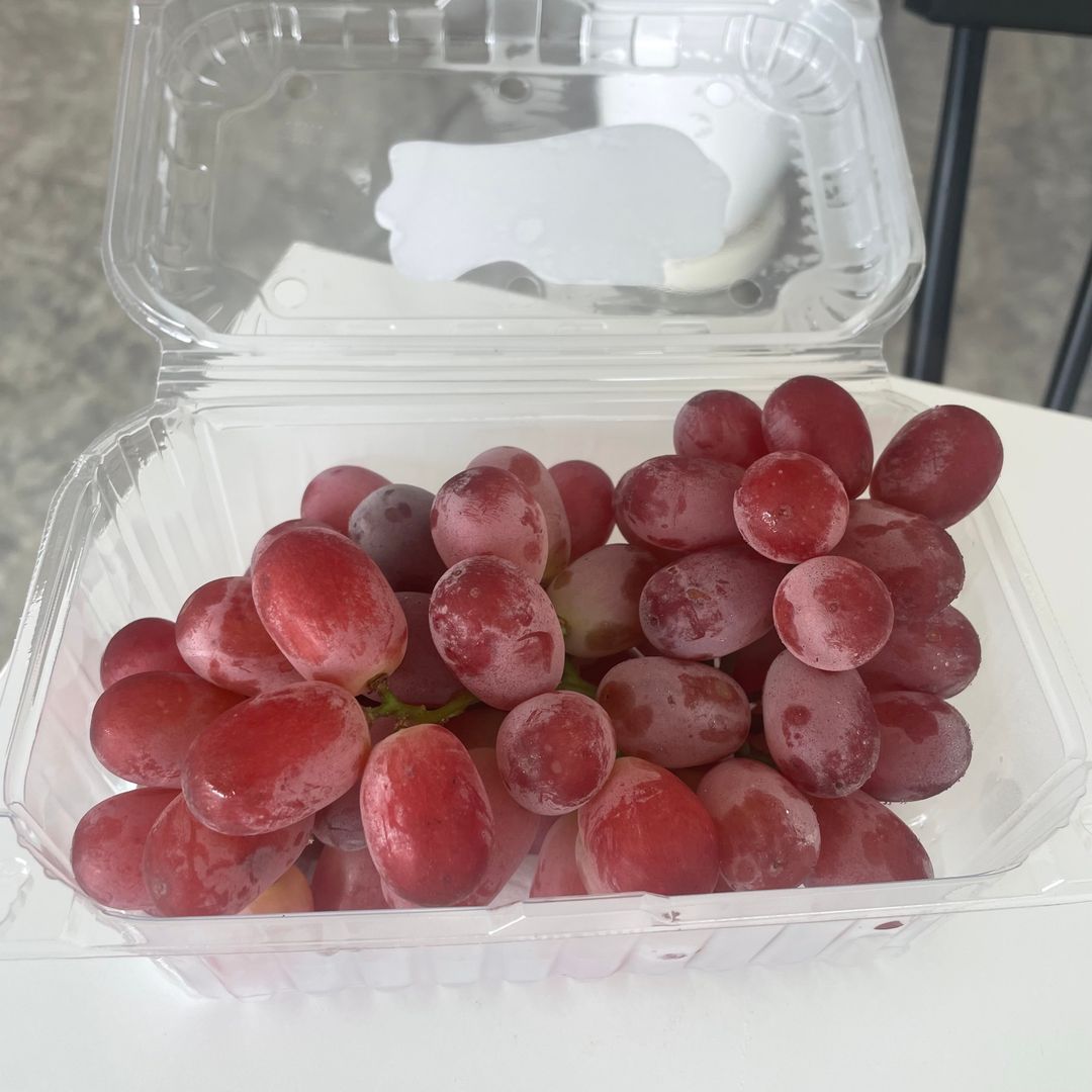 포도(씨없는포도) Grape 