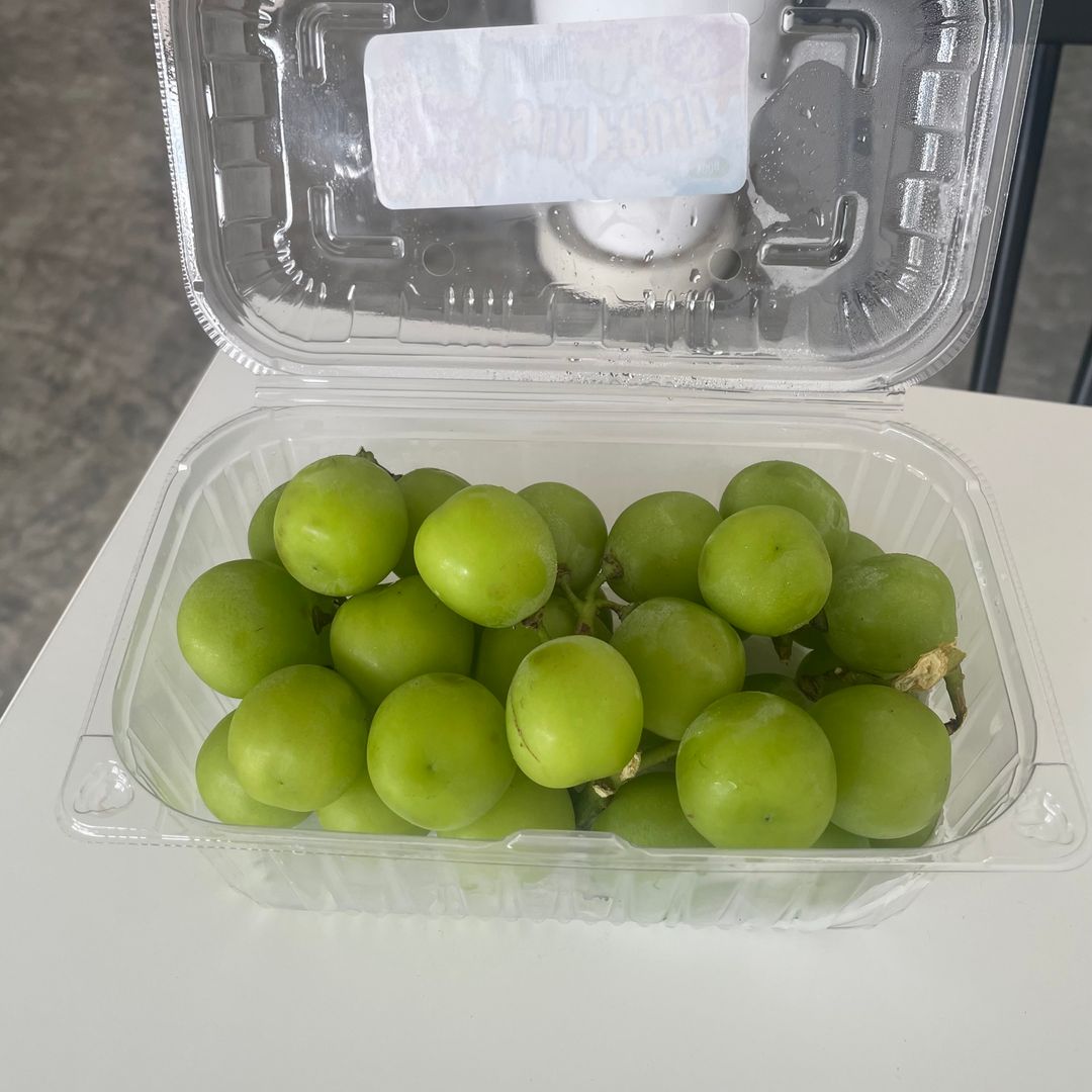 포도(샤인머스캣) Grape