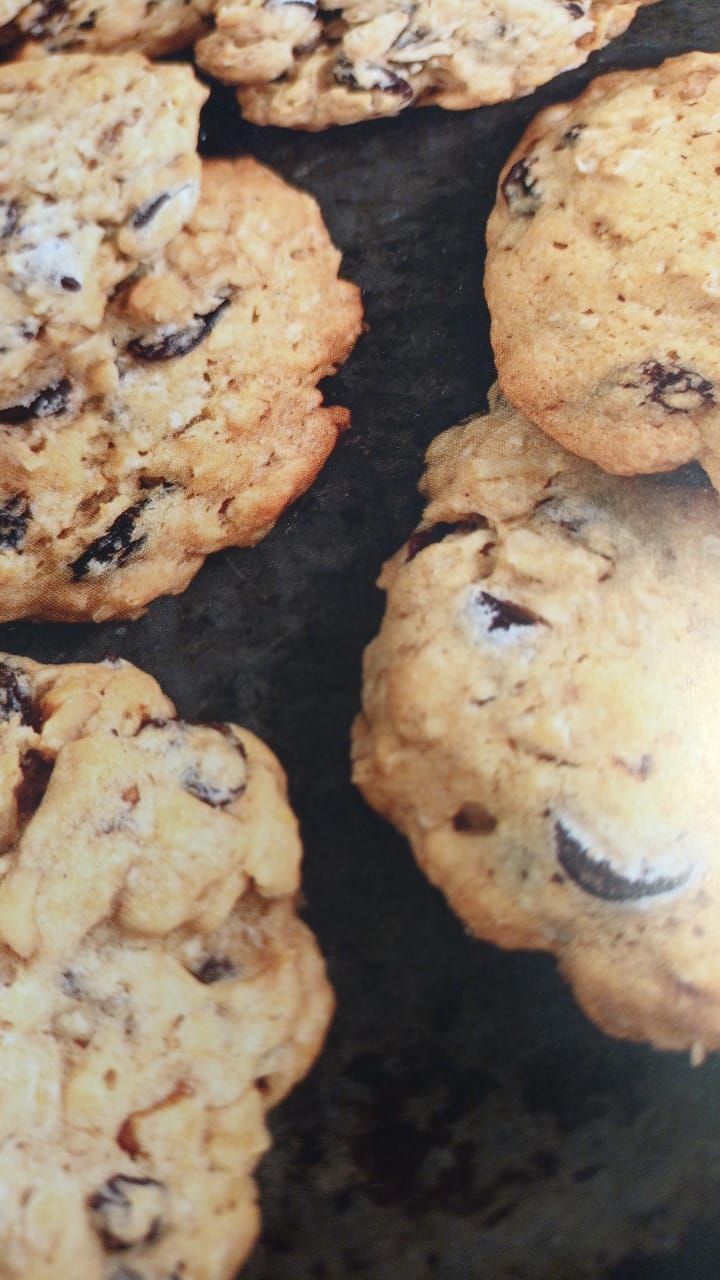 Noah's cookies: Oatmeal brown butter scotchies(250g)