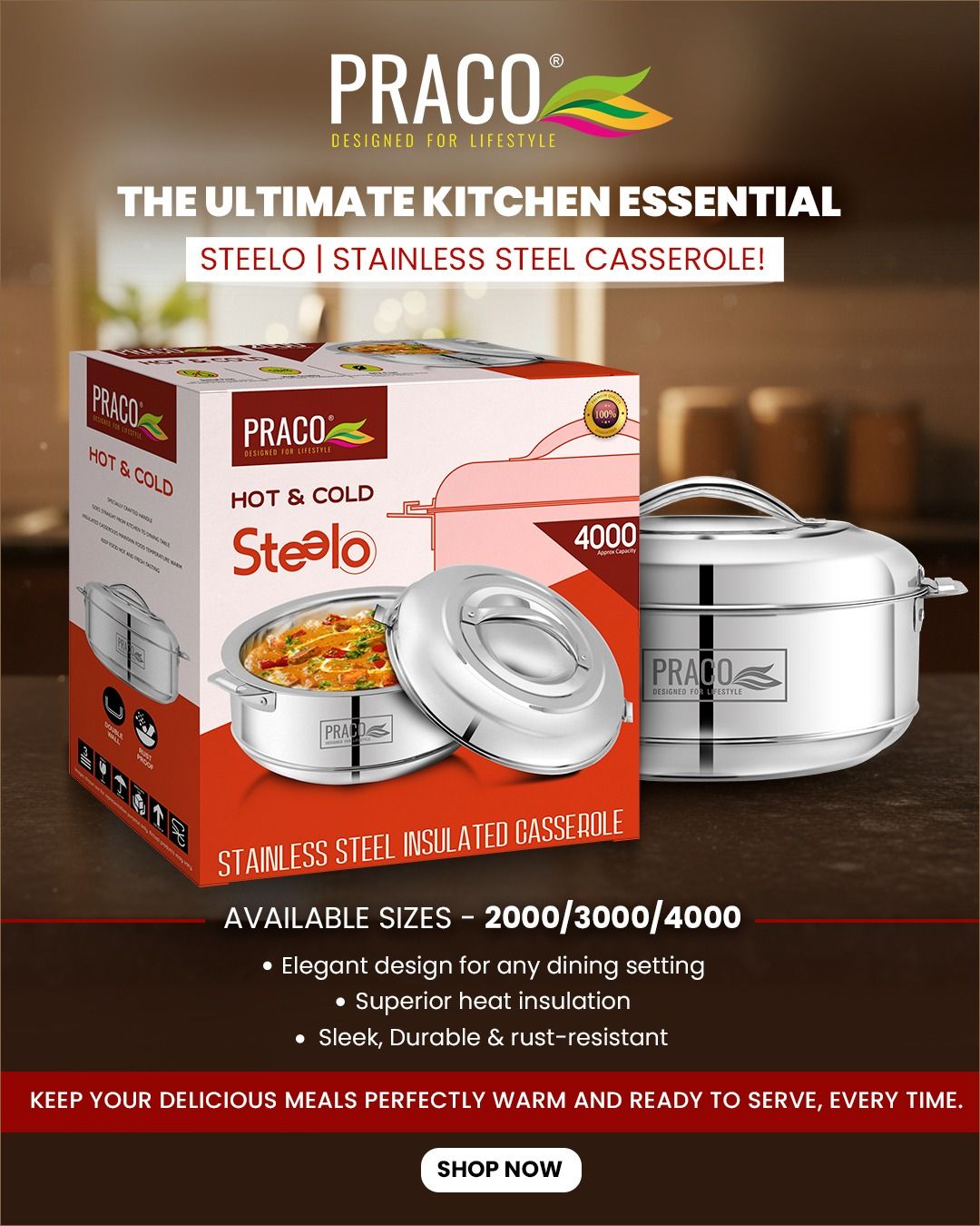STEELO STEEL CASSEROLE