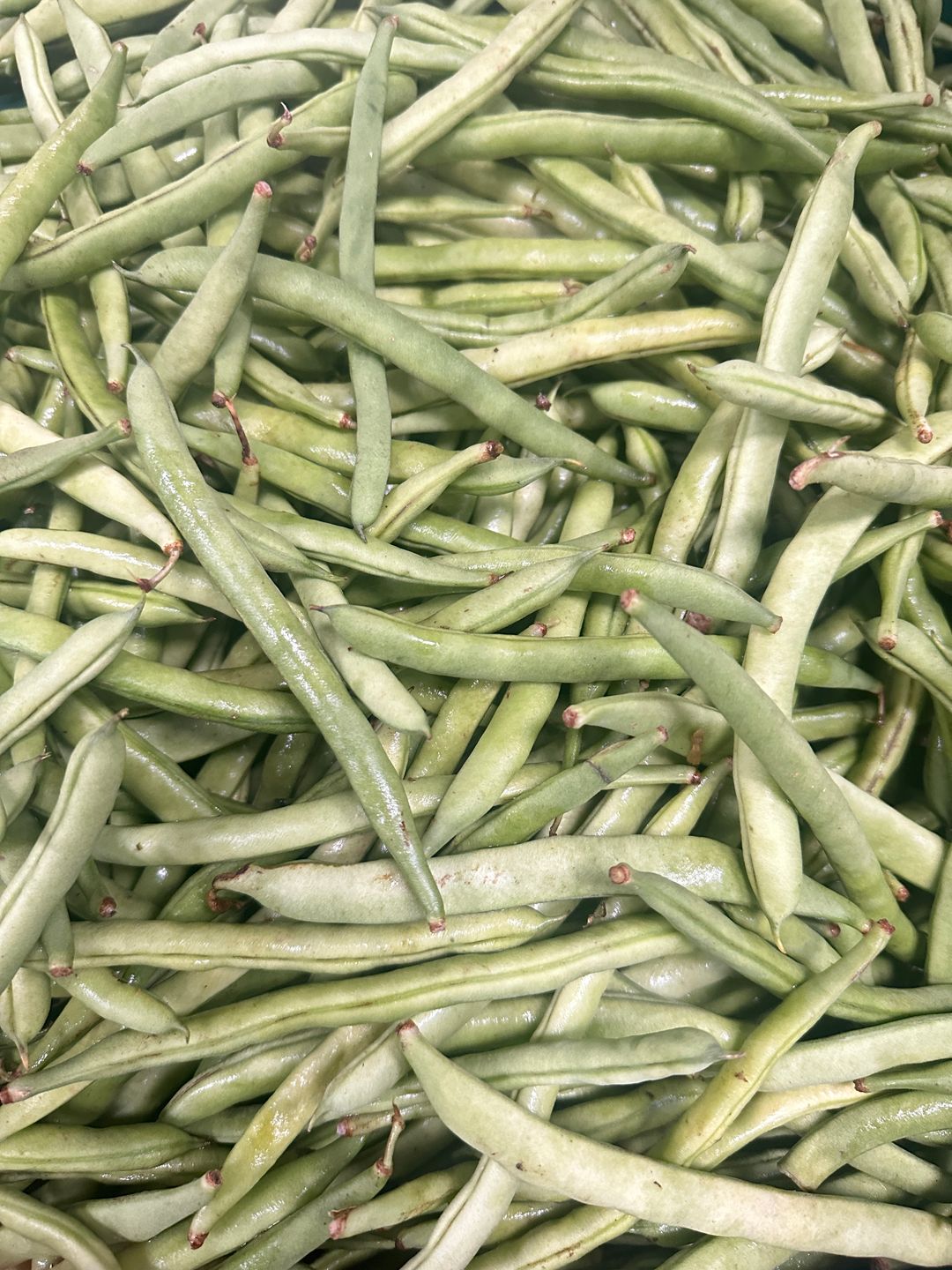 Habichuelas