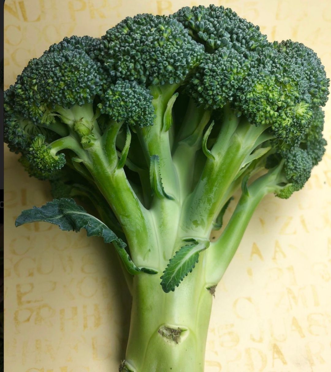 Brocoli