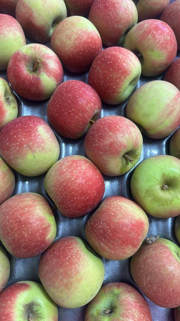 MPS49- pomme rouge تفاح احمر 