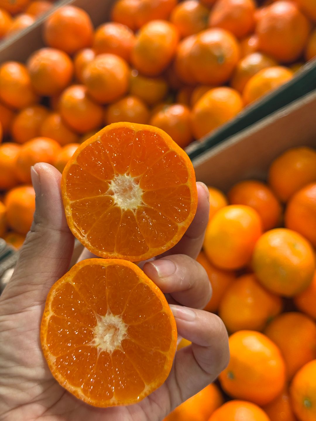 South Africa Tangerines 