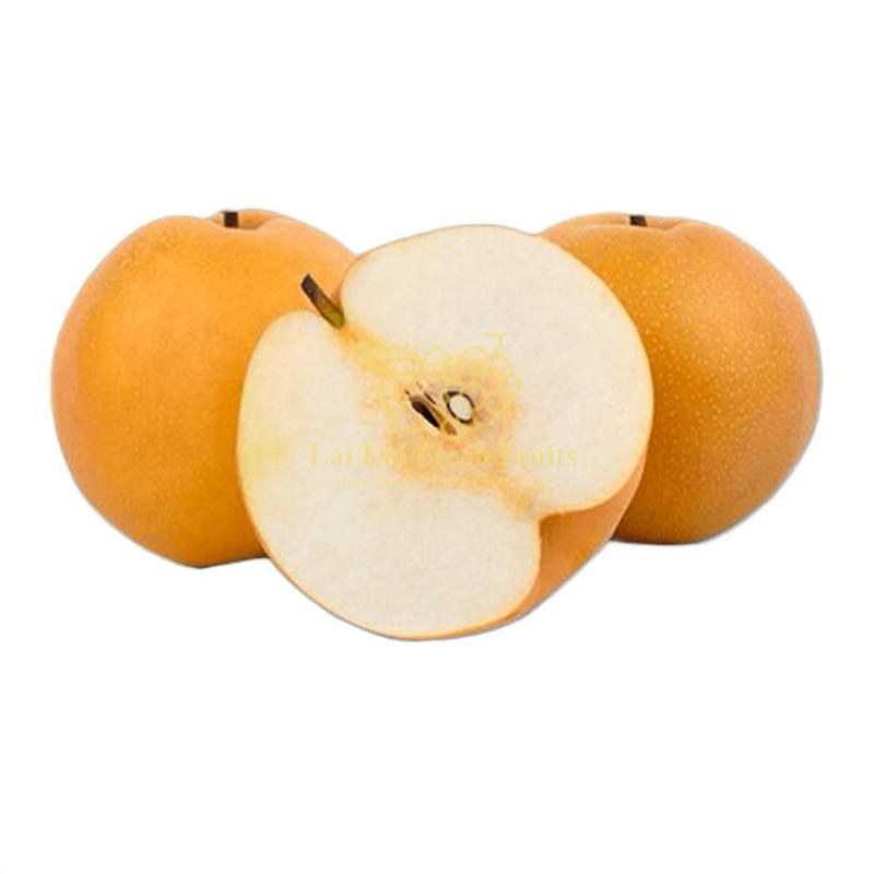 Korean Singo Pear