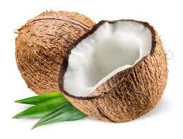Coconut