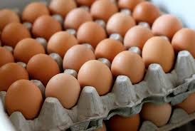 broiler Eggs Trey