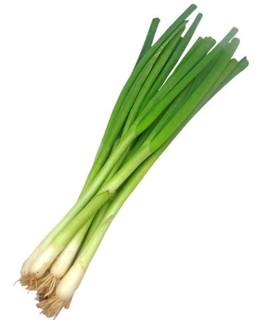 Cebollina