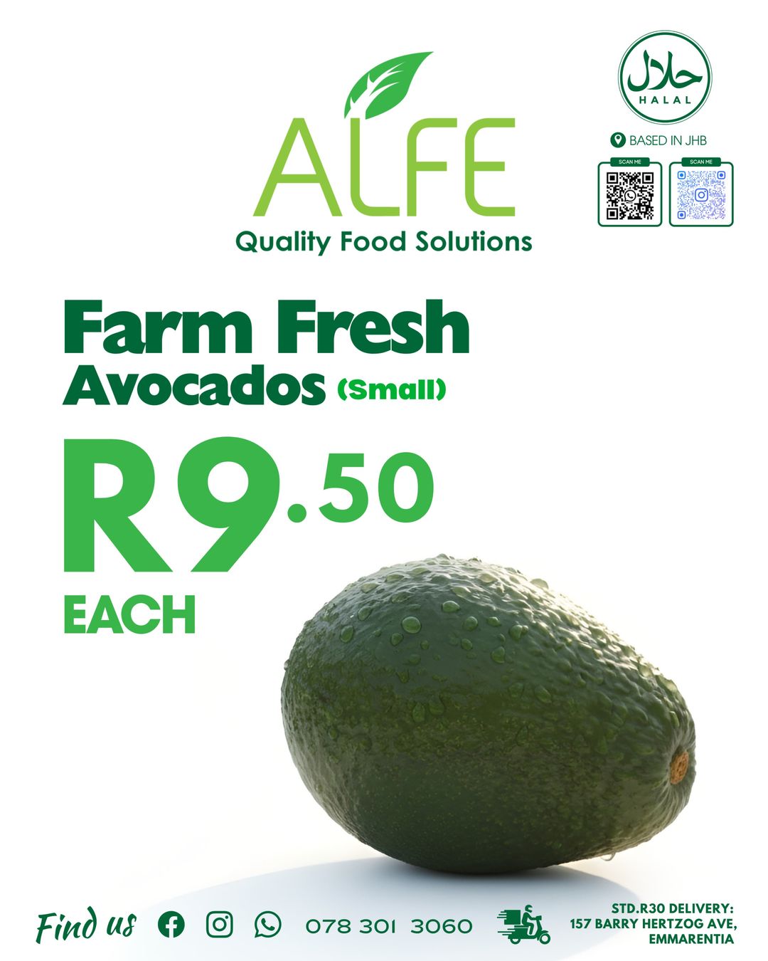 Avocado (Each)
