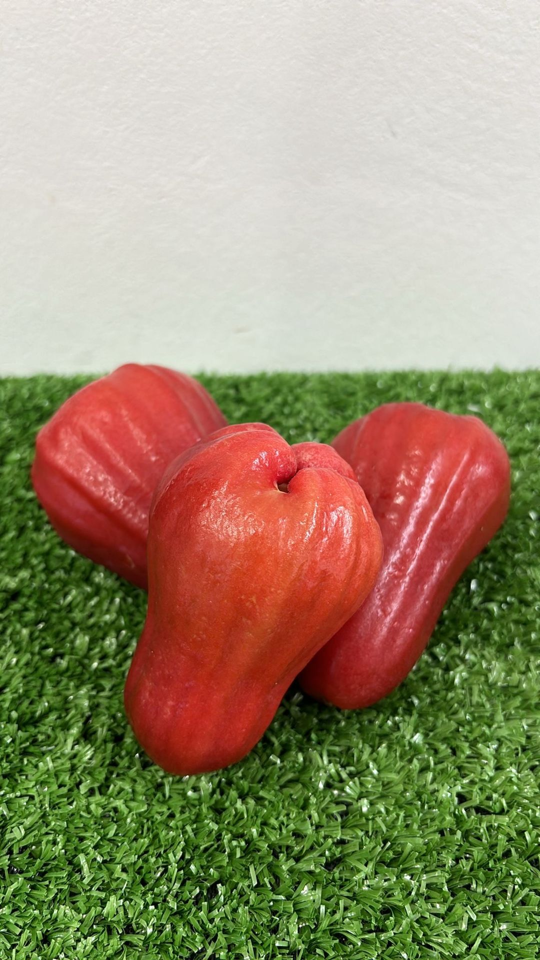 Thailand Rose Apple 
