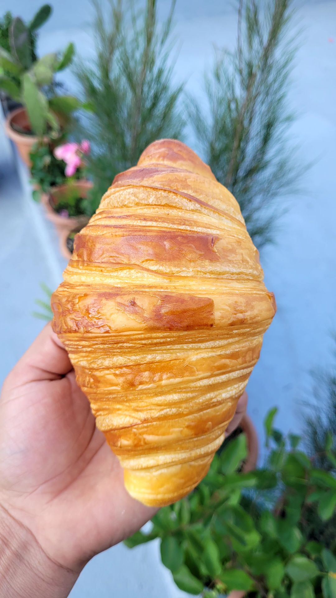 croissant simple 
